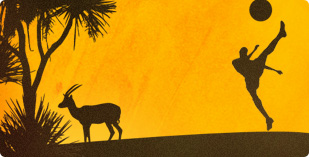 Bloggers in Africa